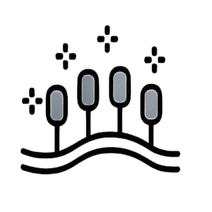 Green Point Physio Techniques and Toolkit Dry Needling