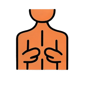 Green Point Physio Techniques and Toolkit Manual Therapy