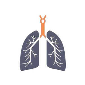 Green Point Physio Techniques and Toolkit Breathwork